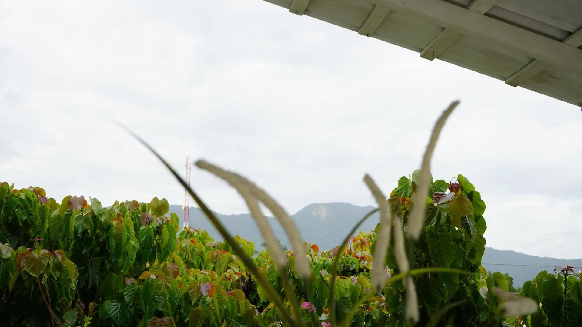 203 Suenos Caribenos En Don Juan Aparthotel Puerto Plata 0*,  Dominikai Köztársaság